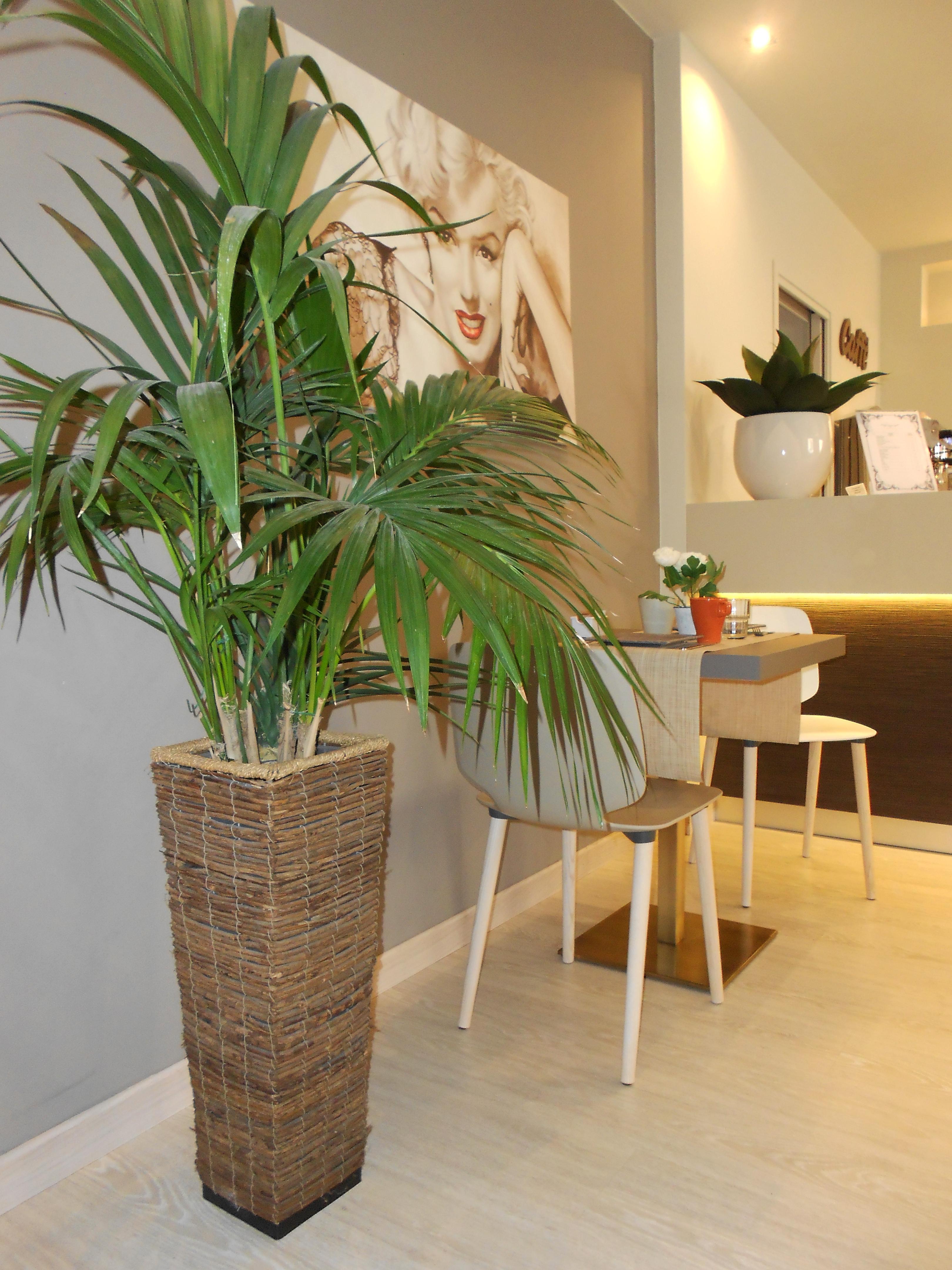 Hotel Ares Milano Dış mekan fotoğraf